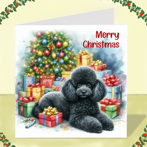 Miniature poodle dog - miniature,