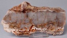 MICROBIAL MAT, Dresser Fmt