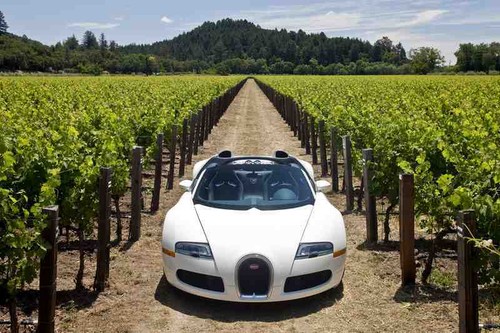 Metal sign bugatti veyron - sign,