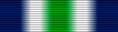 South atlantic medal - medal, falklands