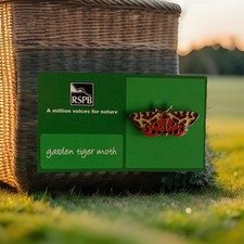 RSPB-Pin Badge GARDEN TIGER MOTH On  A  AMVN Backing Card **FREE POST** 