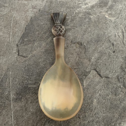 Thistle spoon made from horn - from, horn?