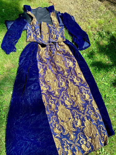 Rennaissance medeival velour - rennaissance,
