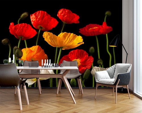 Red poppy b1719 - red, wallpaper