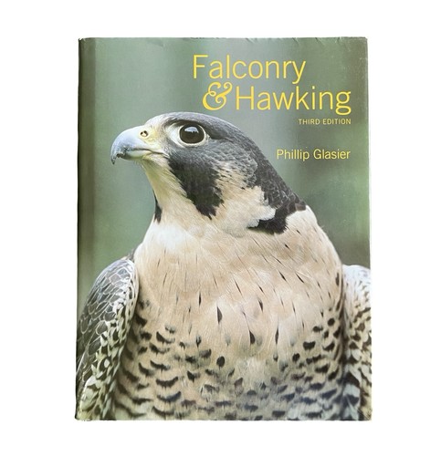 Falconry and hawking - falconry,