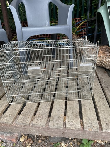 Metal bird cage - metal,