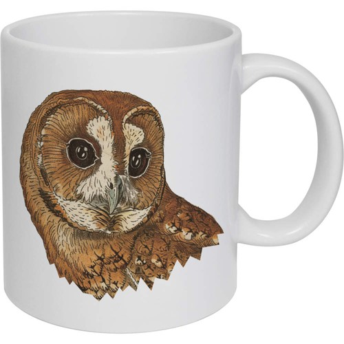 Tawny owl portrait ceramic - owl,