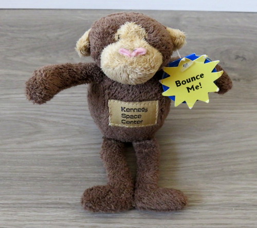Kennedy space center - kennedy, monkey