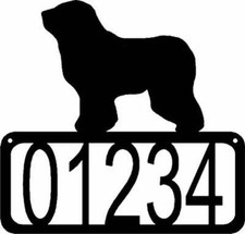 Polish lowland sheepdog dog - lowland,