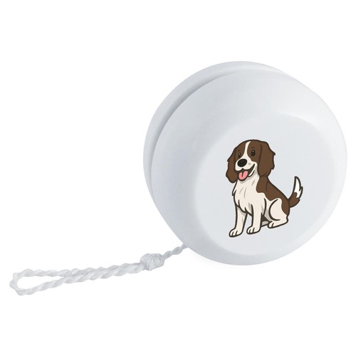 English springer spaniel - springer, spaniel'