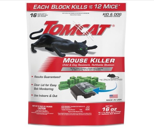 Tomcat mouse killer - tomcat, child