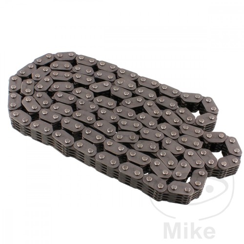 Borgwarner endless cam chain - endless,