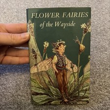Flower fairies the wayside - flower,