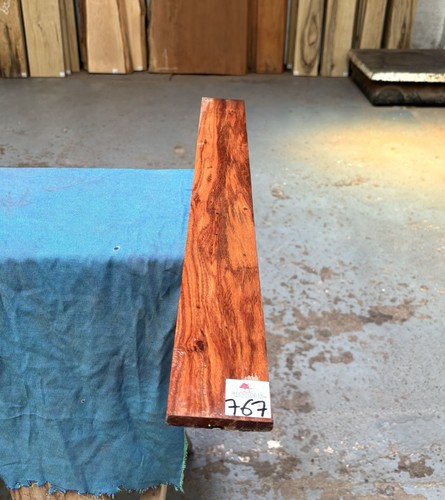 Xylia guitar fingerboard - guitar,