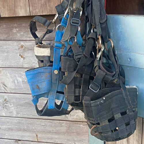 Mixed grazing muzzles used - mixed,
