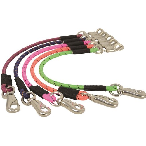 Horse trailer tie for lorry - trailer,