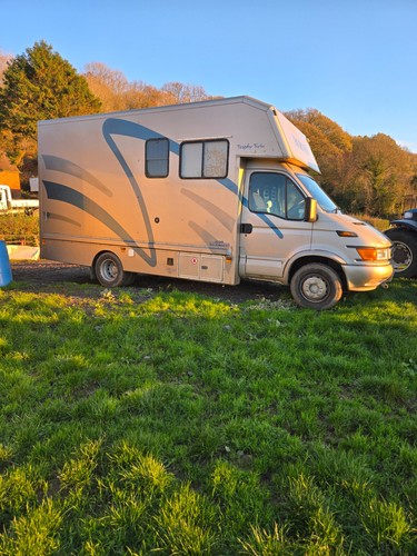 Iveco horse lorry gold - horse,