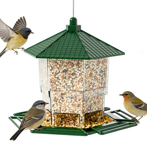 Hopper bird feeders for - bird,
