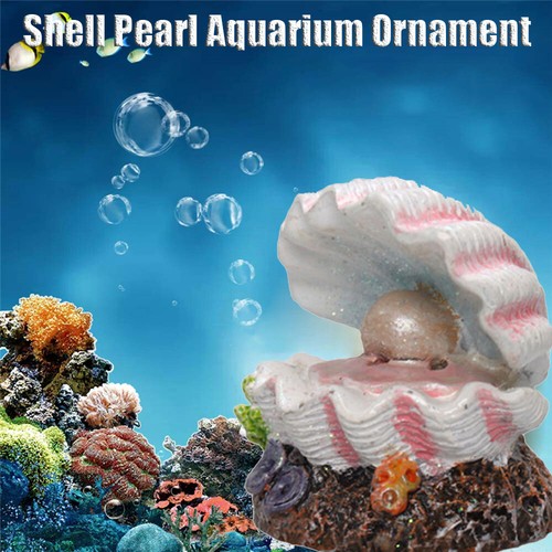 Shell pearl air - shell,