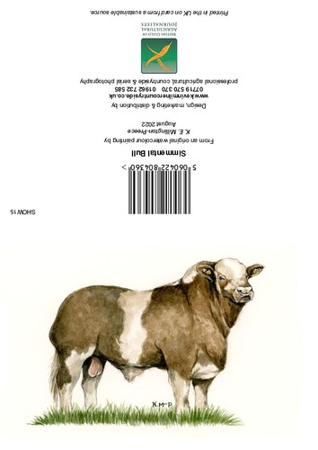 Greeting cards simmental - cards,, bull
