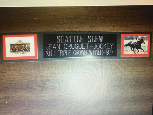 Seattle slew - slew, racing)