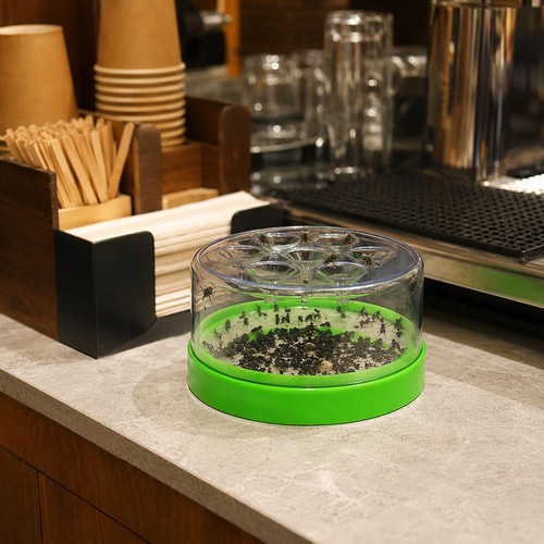 Automatic fly trap for hotel - automatic,