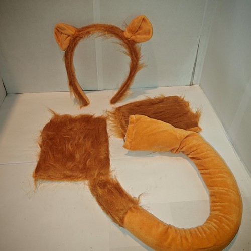 Lion costume for kids animal - lion,