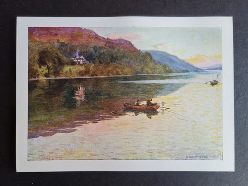 Antique 1908 print char - antique,