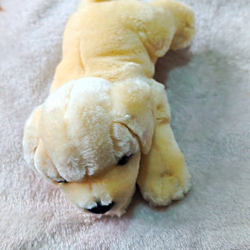 Keel toys cream labrador - keel,