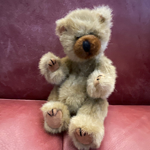 Plush teddy bear bean bag - teddy,