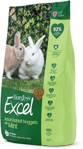 Burgess excel rabbit food - excel,