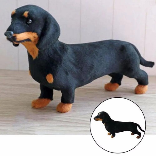 Lifelike dachshund dog animal - dog,