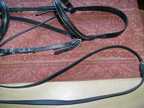 Bitless full sized horse - sized,