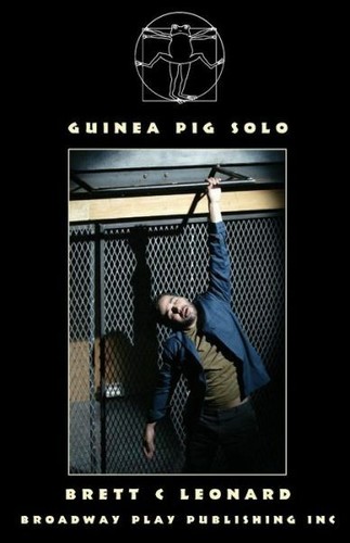 Guinea pig solo - pig,
