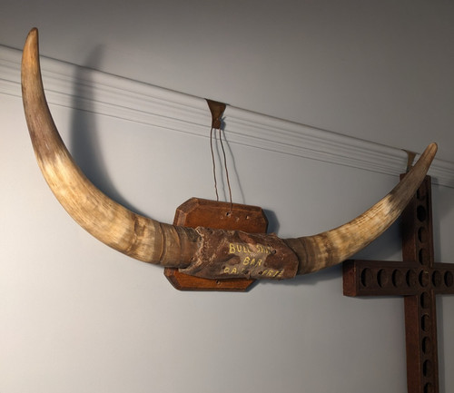 Vintage unusual cow horn - unusual,