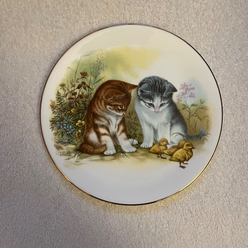Royal grafton cat - royal, china