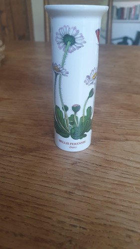 Vintage portmeirion botanic - vintage,