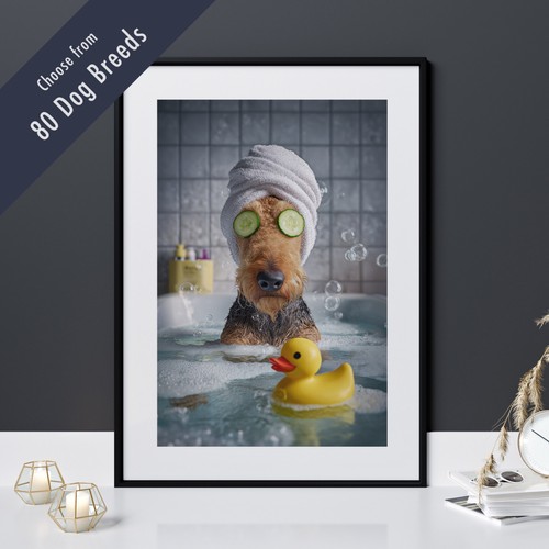Funny dog bath - funny, in
