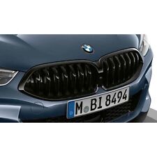 BMW Front Kidney Grill High