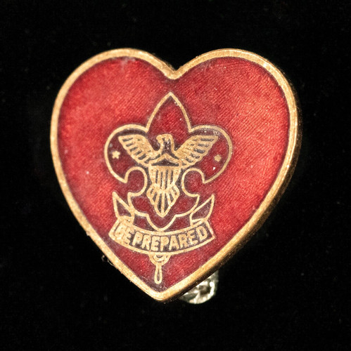Vintage bsa life boy scouts - bsa,