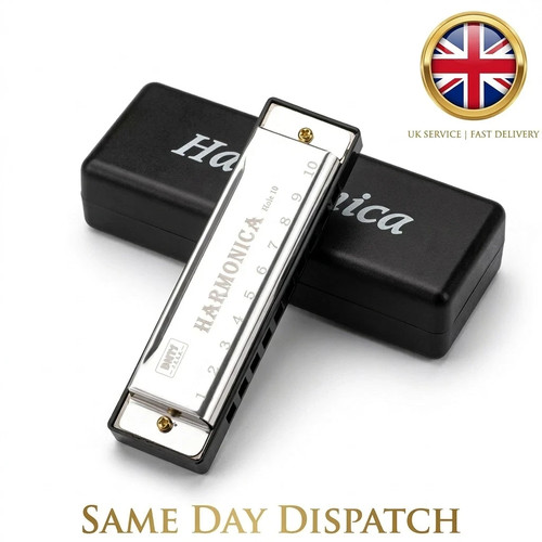 Hole harmonica mouth organ - "10,