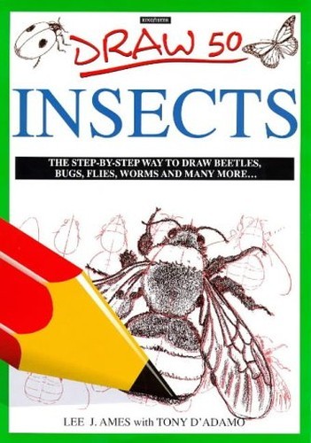 Draw insects - insects, 50