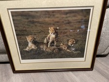 steven townsend limited