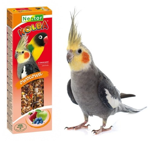 Conures parrots birds fruits - conures,