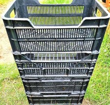 4 x Extra Large 60x40x20cm Strong Stackable Storage Crates - Ventilated Trays
