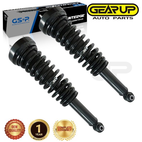 Pair rear suspension - suspension, strut