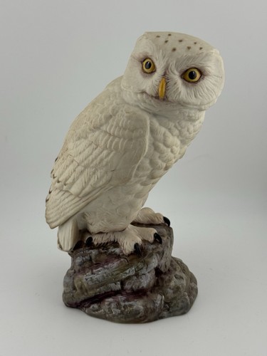 Aynsley snowy owl - aynsley,