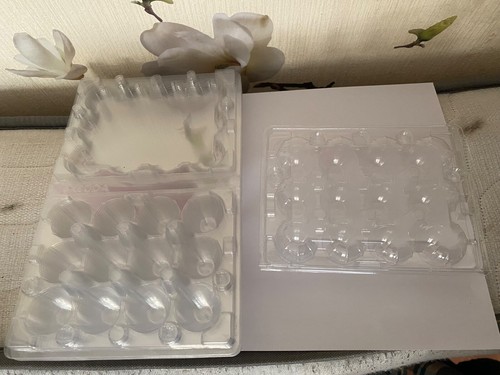 Quail egg box flat - quail🐧,