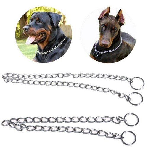 Pet dog puppy - puppy, choke