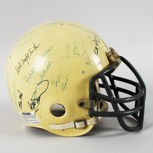 Nfl hofers signed helmet - nfl,